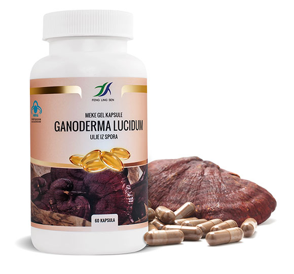 ganoderma lucidum